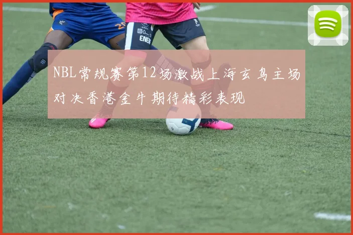 NBL常规赛第12场激战上海玄鸟主场对决香港金牛期待精彩表现