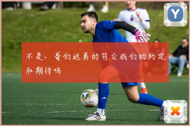 不是，哥们这真的符合我们的约定和期待吗